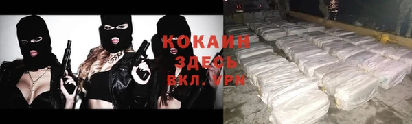 дмт Арсеньев