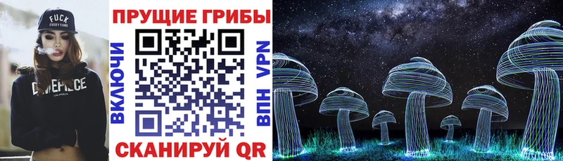 Галлюциногенные грибы MAGIC MUSHROOMS  Краснослободск 